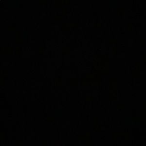 Meet your Posher, Bailey